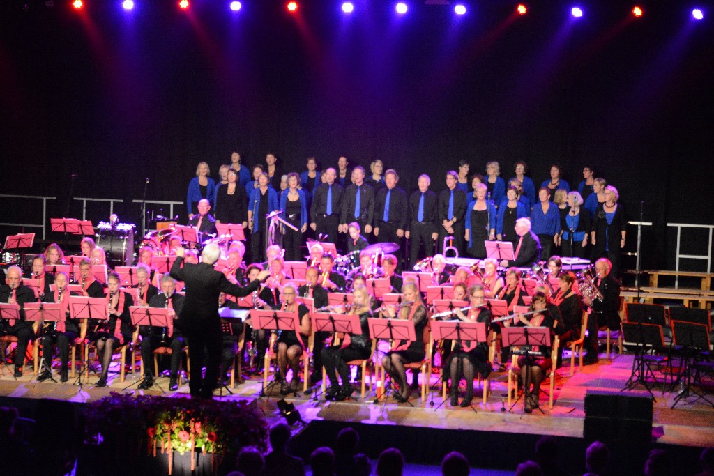 ../Images/Jubileumconcert 100 jaar Harpe Davids 233.jpg